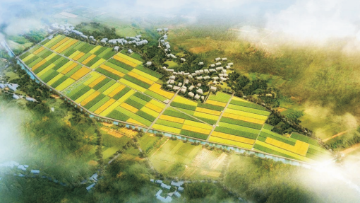 高标准农田建设项目
